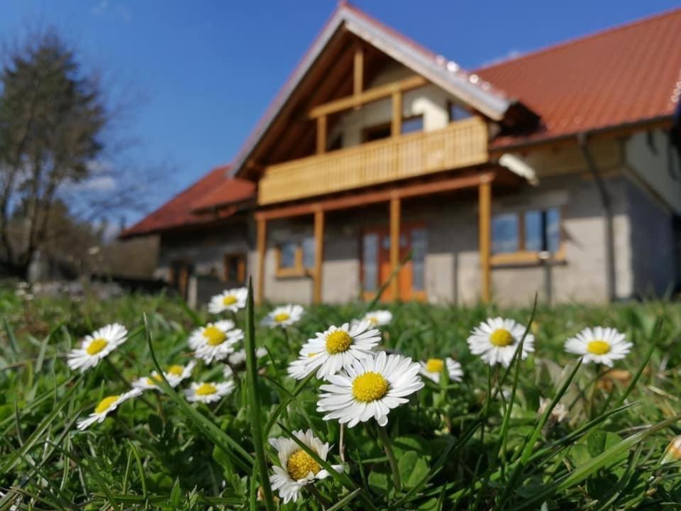 Wandertraum Johann - Fewo Eifel Kruft Exteriör bild